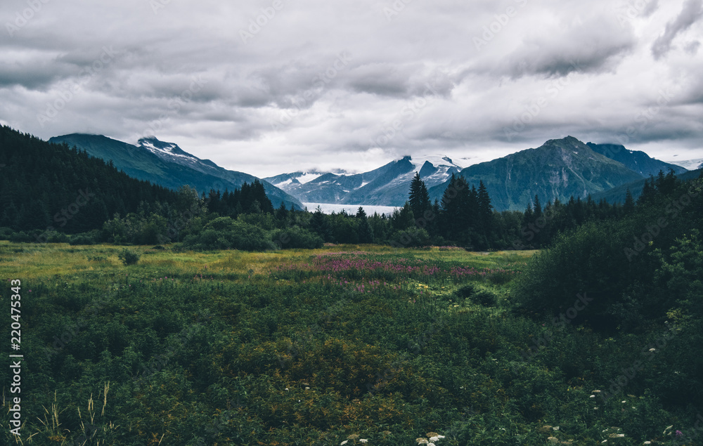 Wild Alaska