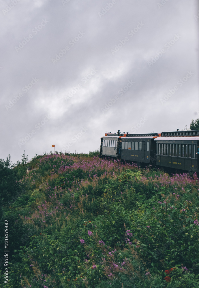 Wild Alaska