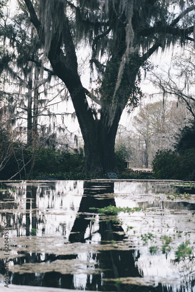 Reflect