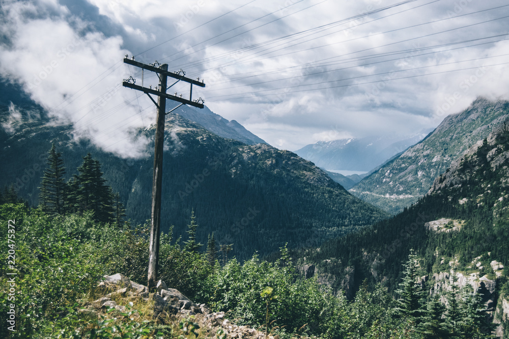 Wild Alaska