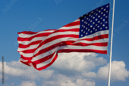 United States of America Flag 