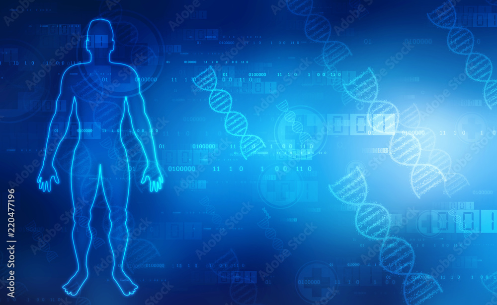 Human Anatomy with Dna Structure in medical background, Chromosome Man, Medical technology background 