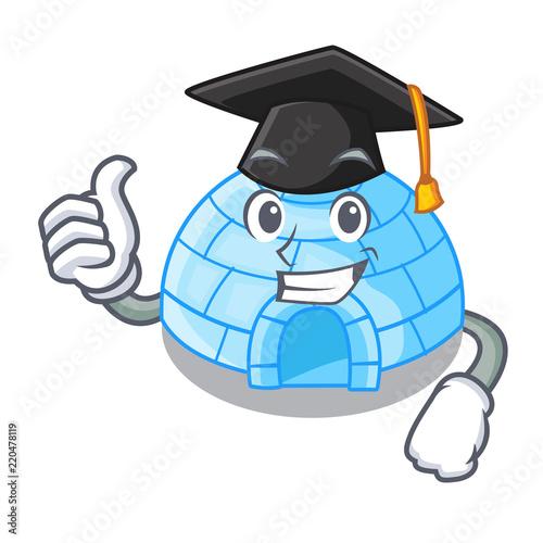 Graduation cartoon dome igloo ice house snow