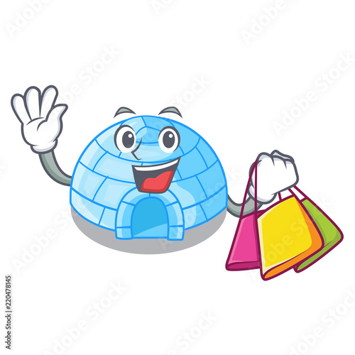 Shopping cartoon dome igloo ice house snow