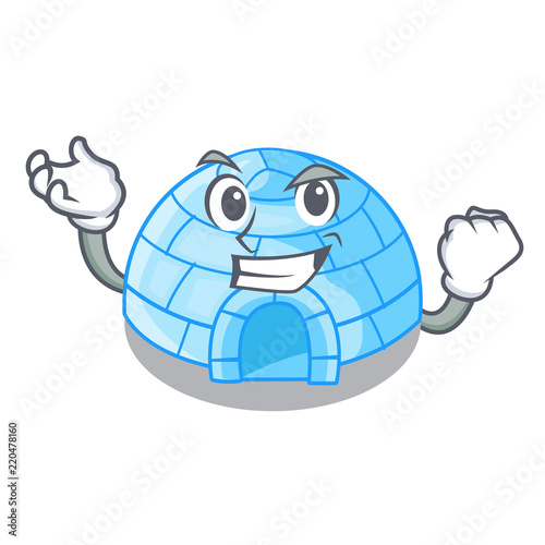 Successful cartoon dome igloo ice house snow