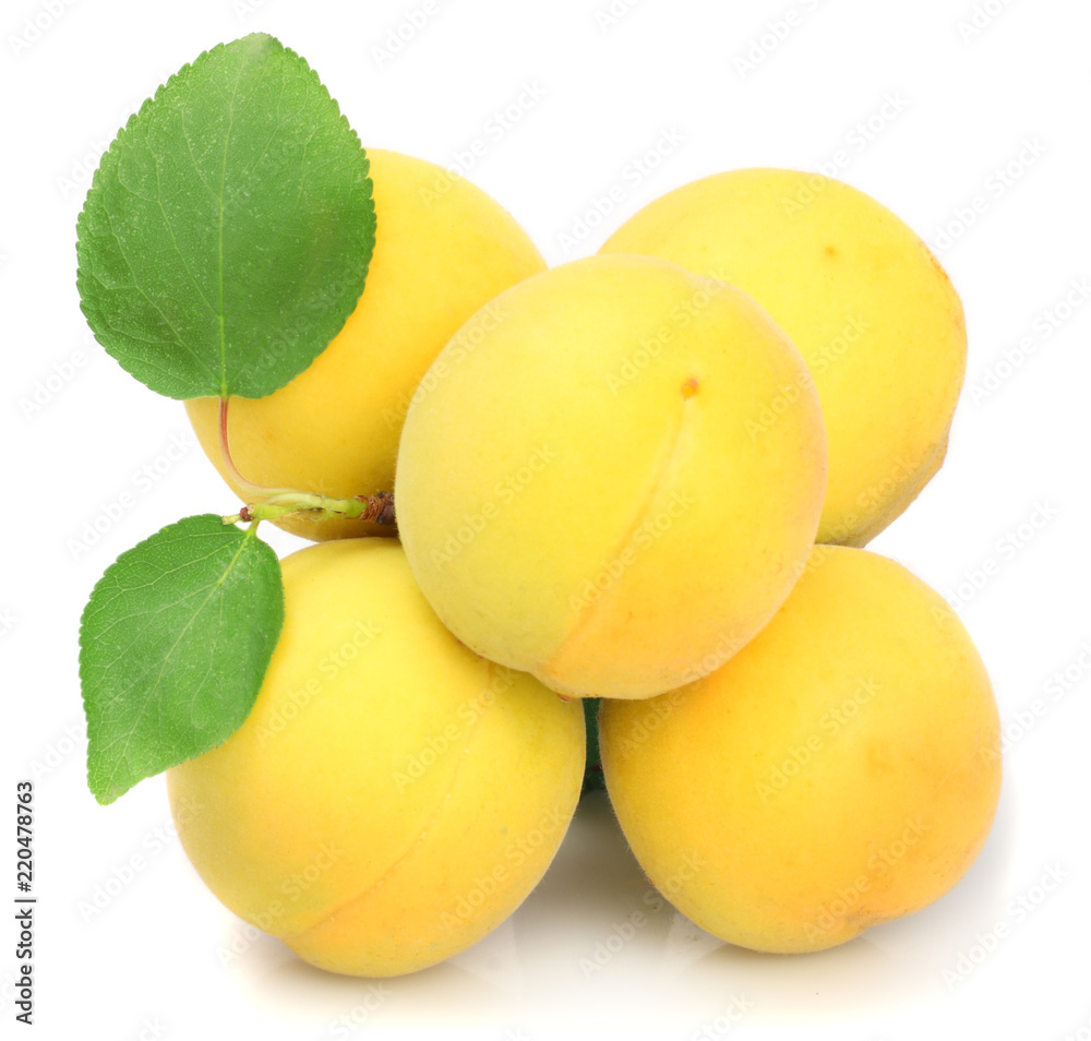 Аpricots isolated on white.