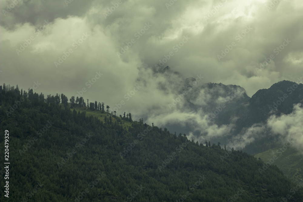 heavy cloud and fog in the mountains forest
