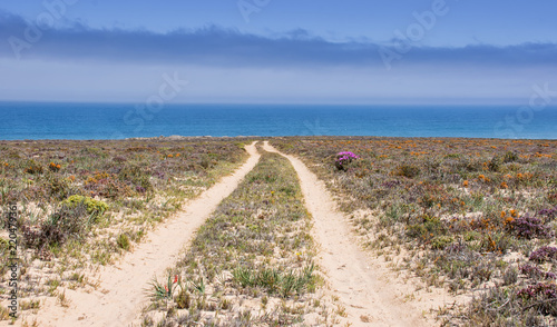 Namaqualand Coastline