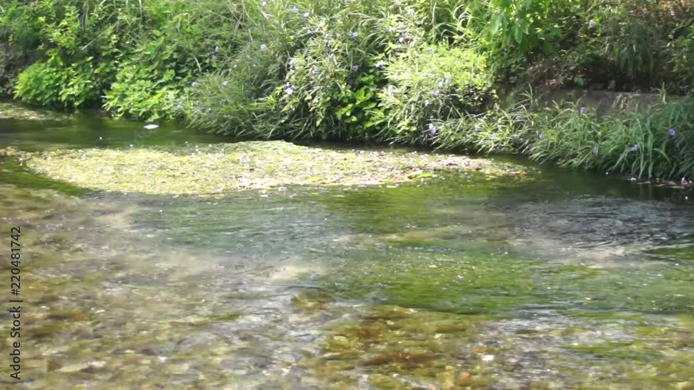 江津湖 江津湖