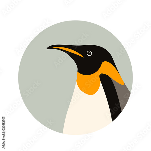 penguin  profile side vector illustration flat style 