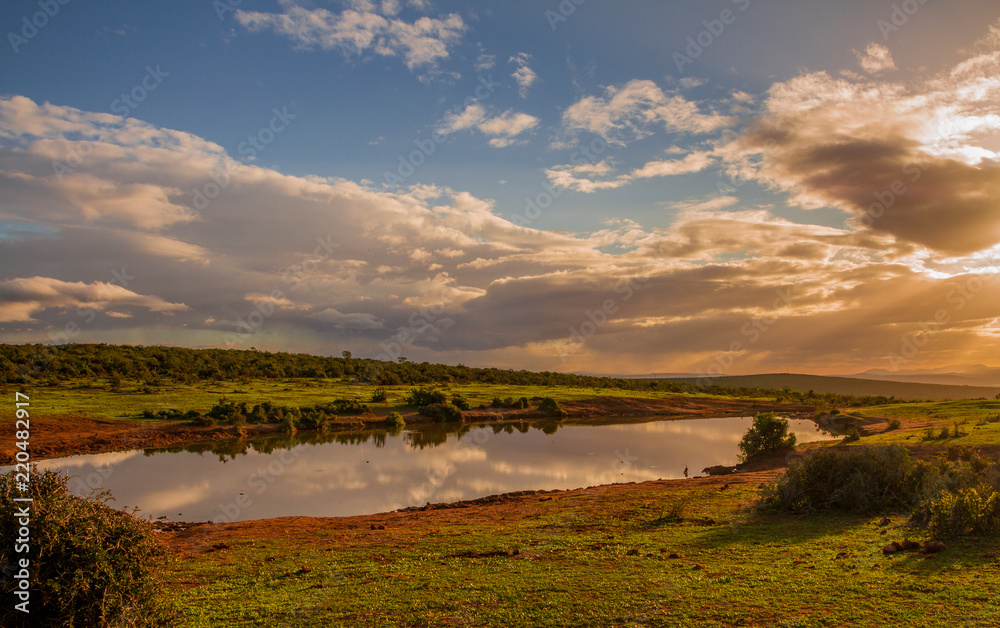 African landscape at sunrise in the Addo Elephant National Park Eastern Cape province South Africa