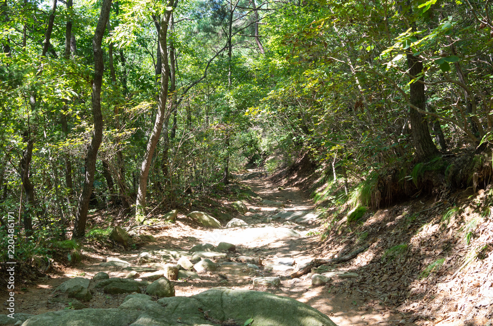 Trekking trail at Bukhansan national park Trekking trail at Bukhansan national park