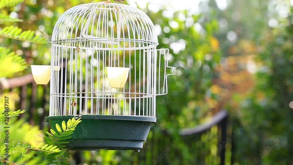 Empty bird cage garden 