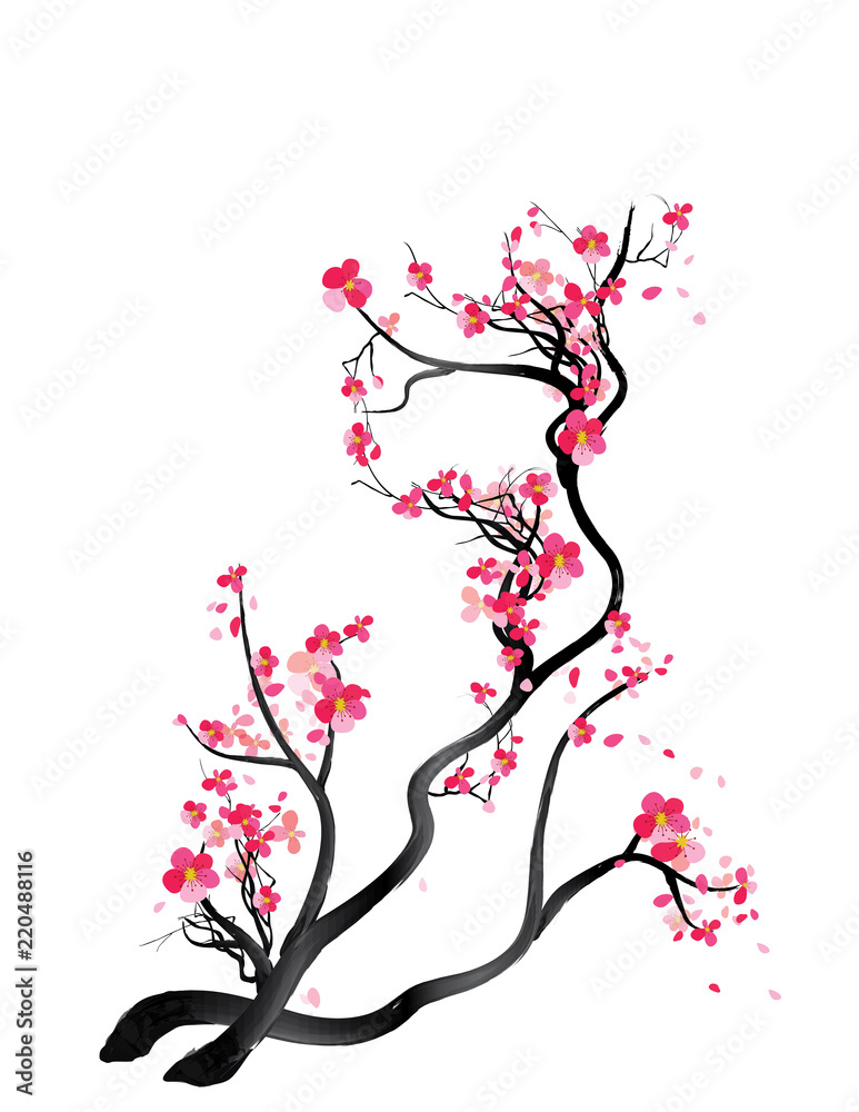 Watercolor sakura frame. Background with blossom cherry tree branches. Hand drawn japanese flowers background Watercolor sakura frame. Background with blossom cherry tree branches. Hand drawn japanese flowers background