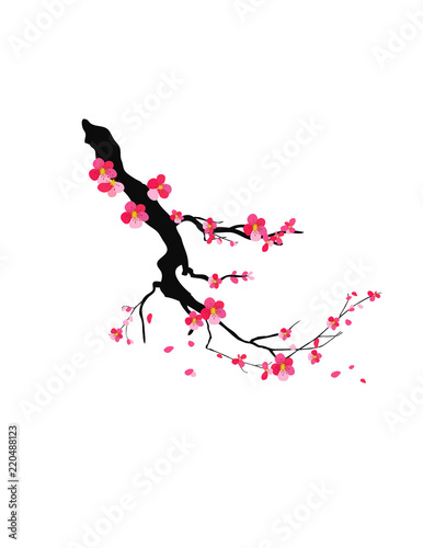 Watercolor sakura frame. Background with blossom cherry tree branches. Hand drawn japanese flowers background