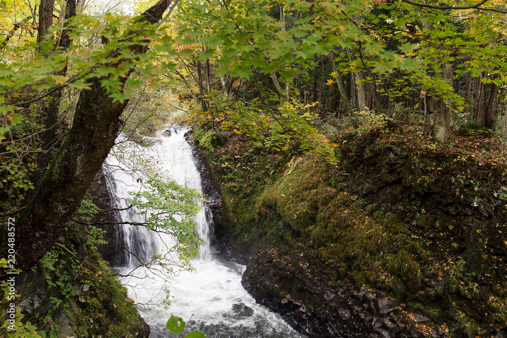 Obraz premium Oirase mountain stream in towada