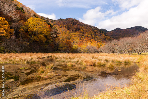 Beautiful autumn landscape in nikko of Japan