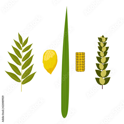 Sukkot. Judaic holiday. Traditional symbols - Etrog, lulav, hadas, arava. photo