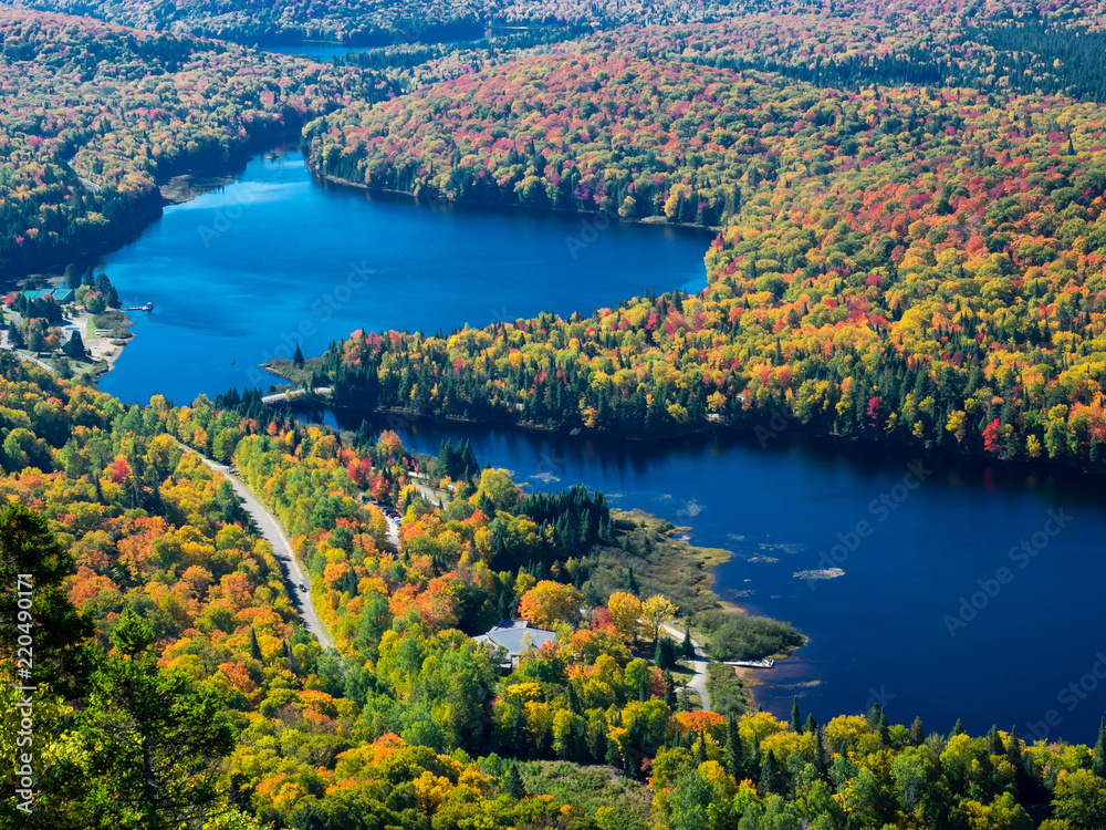 Fototapeta premium To jest zdjęcie jesiennych liści widzianych z Parku Narodowego „Mont-Tremblant” w Quebec w Kanadzie. To jest zdjęcie zrobione ze stanowiska obserwacyjnego trasy nr 5 „La Corniche”. W tym roku ja