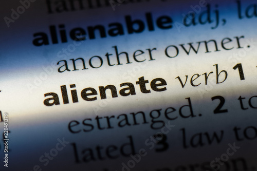 Tableau sur toile alienate