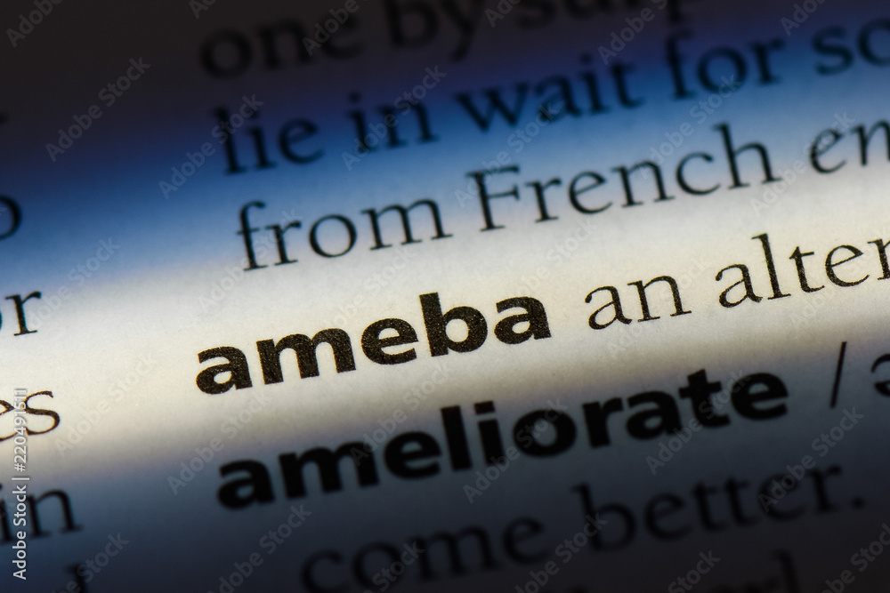 ameba