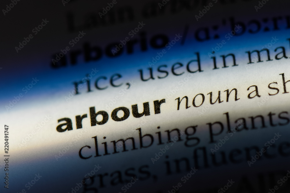 Obraz premium arbour