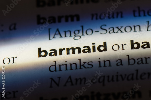 Εκτύπωση καμβά barmaid