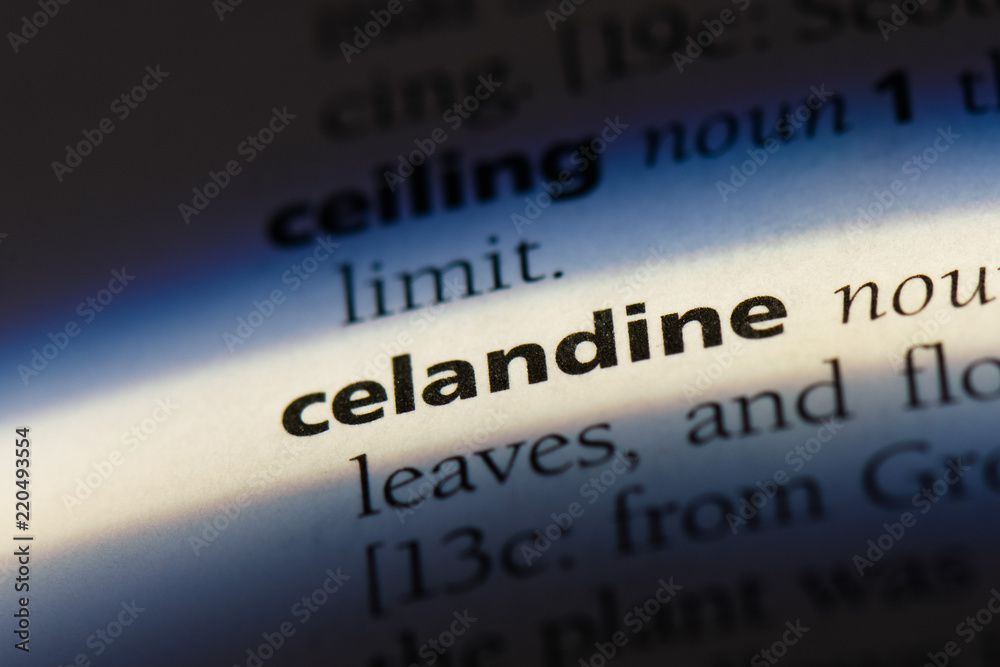 celandine celandine