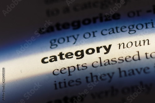 Canvas Print category