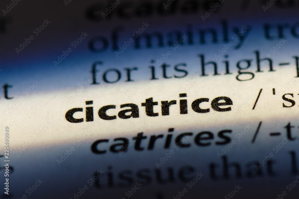 Obraz premium cicatrice