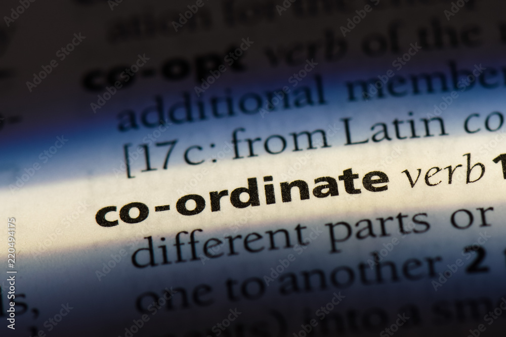 Obraz premium co-ordinate