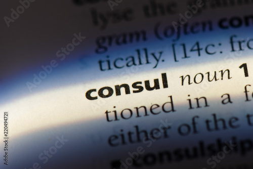  consul