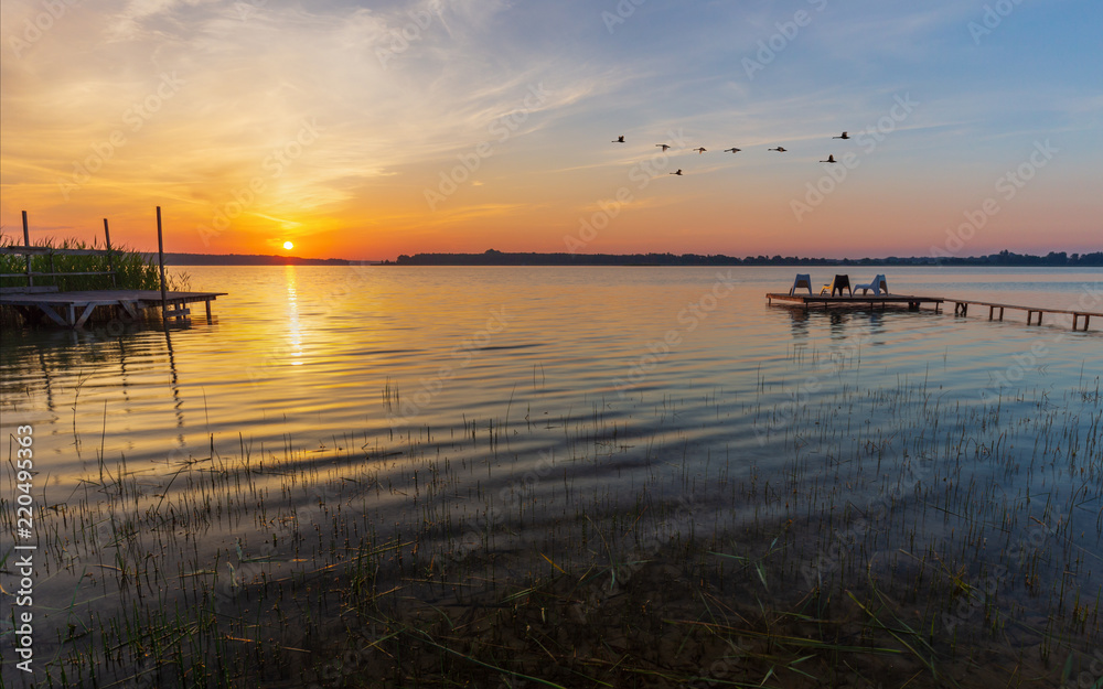 Wooden footbridge and flying swans during sunrise at Powidzkie lake in Poland.