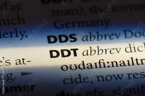  ddt