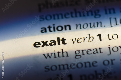  exalt photo