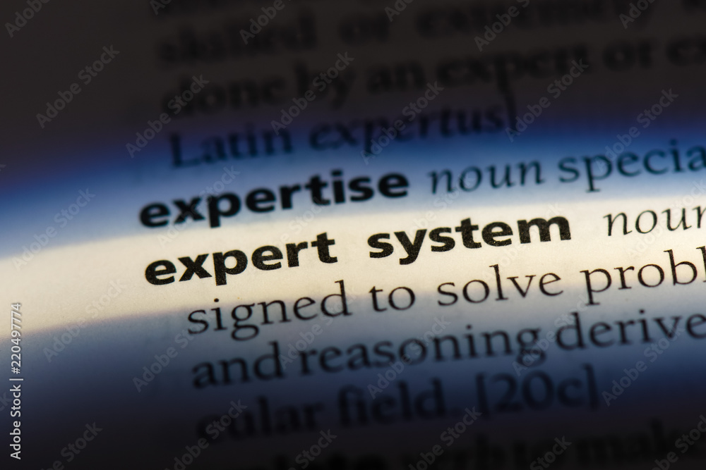  expert system