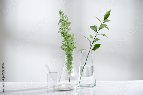 clear water in glass flask and vial with natural green leave in biotechnology science laboratory background