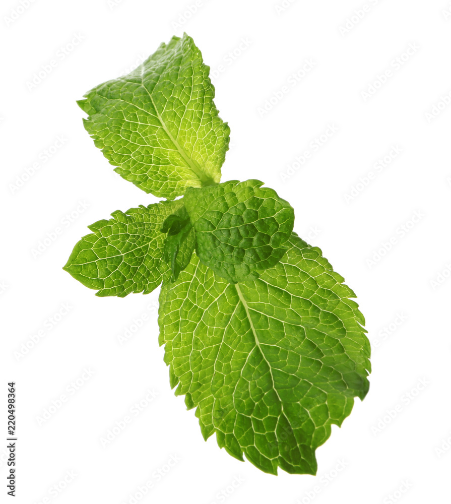 Fresh green mint leaves on white background Fresh green mint leaves on white background