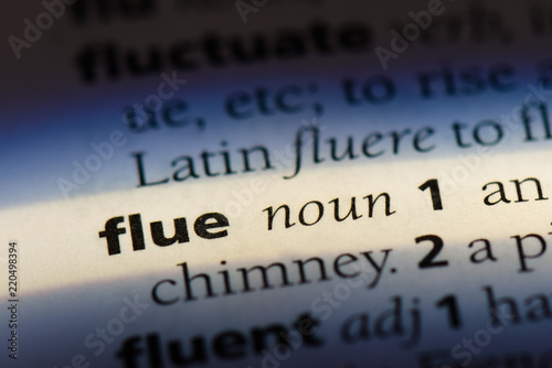  flue