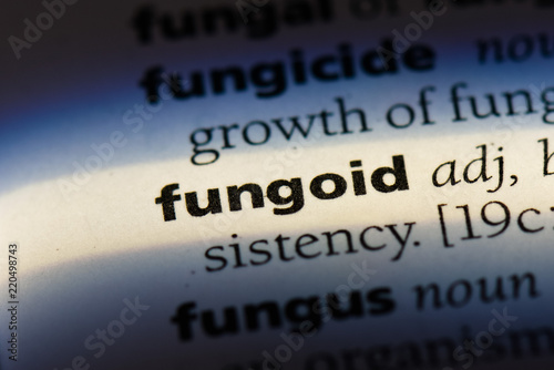  fungoid