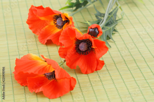 Fototapeta Naklejka Na Ścianę i Meble -  Flowers