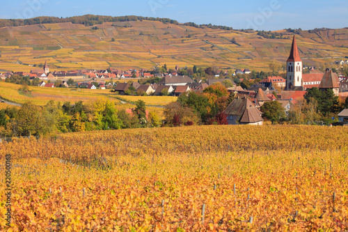 Ammerschwihr et Kientzheim, villages d'Alsace en automne photo