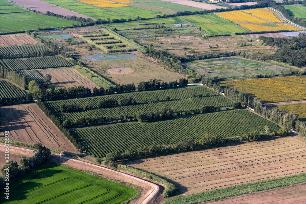 vue aérienne de champs près d'Arles dans le sud de la France