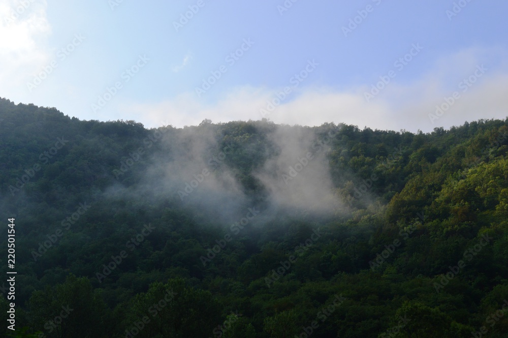 morning fog
morning fog