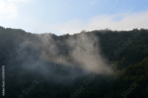 Fototapeta Naklejka Na Ścianę i Meble -  morning fog
