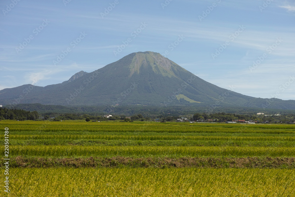 夏の伯耆富士大山と田園