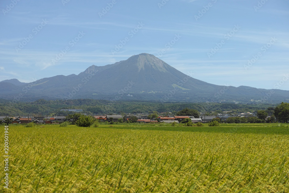 夏の伯耆富士大山と田園 夏の伯耆富士大山と田園