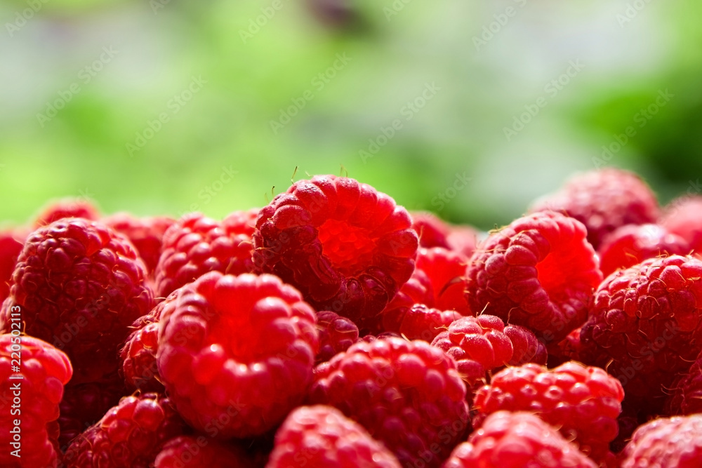 Fresh ripe raspberries on blurred green background Fresh ripe raspberries on blurred green background