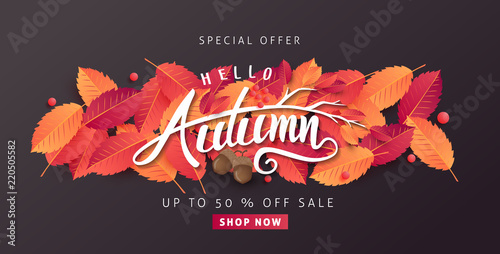 Autumn leaves background. Vector illustration