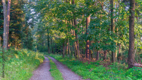 Fototapeta Naklejka Na Ścianę i Meble -  SONY DSC